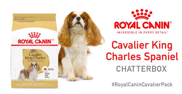 Royal Canin Cavalier King Charles Chatterbox Kit for FREE!