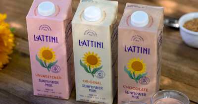 Apply for your FREE Lattini Sunflower Milk!
