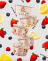  Pick up your FREE yogurt from Painterland Sisters! - After Rebate